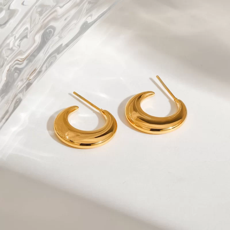 Women's Trendy Gold Plated Stainless Steel Chrysanthemum Hoop Earrings Simple Geometric Design Fashionable - Image 4