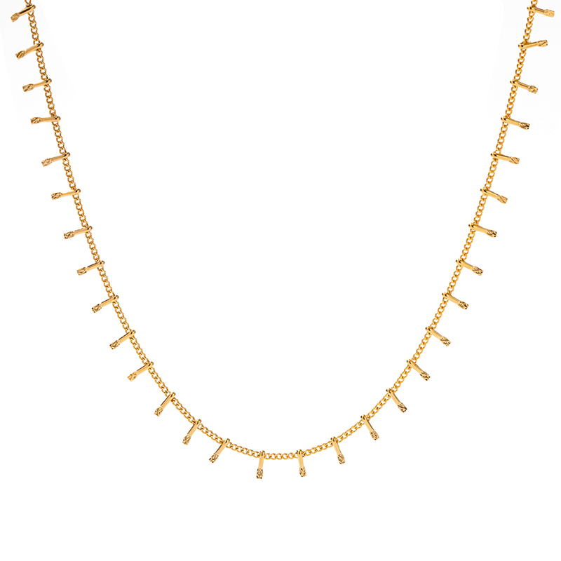 Minimalist 18K Gold Plated Tassel Spine Choker Necklace Stainless Steel Fishbone Chain Necklace Bracelet Women