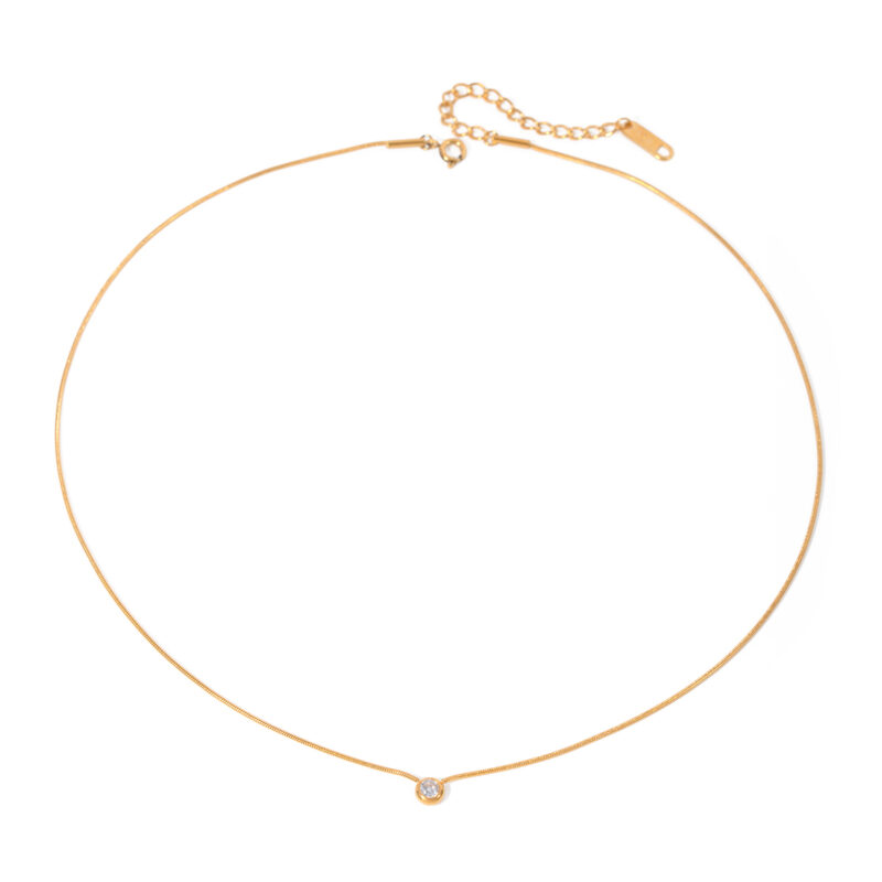 J&D Jewelry Dainty Style Stainless Steel Snake Chain Circle CZ Zirconia Pendant Necklace for Women