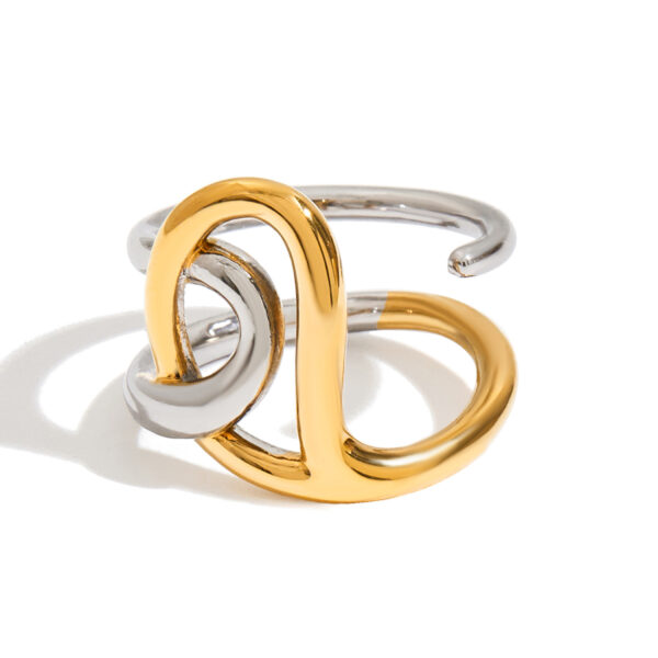 J&D Street Style 18K Gold Plated Stainless Steel Two Tone Winding Special Double Layer Fashion Rings Waterproof Rings for Women